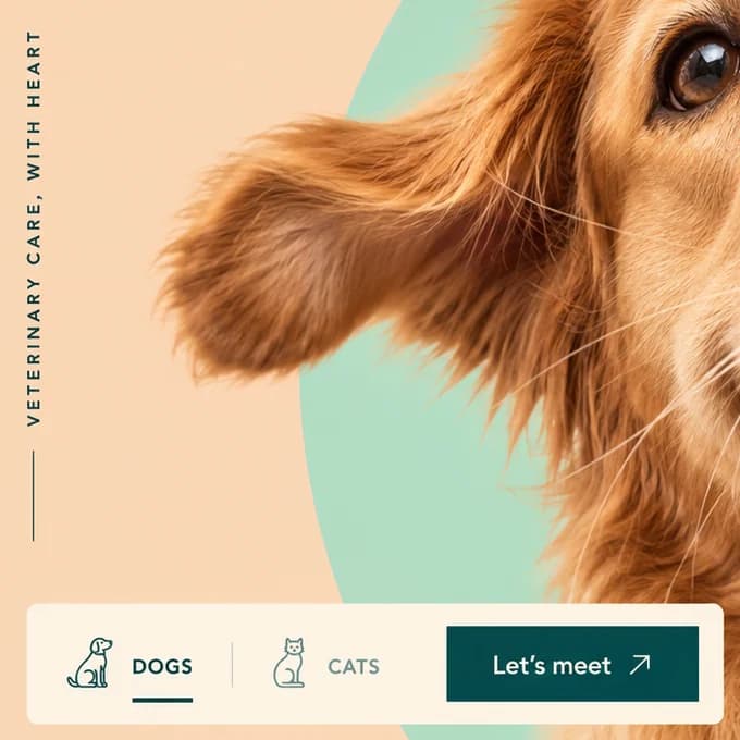Left edge of the Goodkind design: a vertical VETERINARY CARE, WITH HEART label, the dog's ear and a DOGS or CATS card.