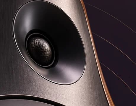 Close-up of a speaker tweeter with a fine mesh dome in a dark brushed metal baffle, walnut cabinet edge beyond
