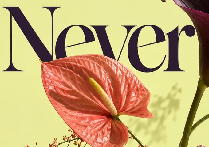 The word 'Never' in heavy aubergine serif on chartreuse, a coral anthurium overlapping its lower edge