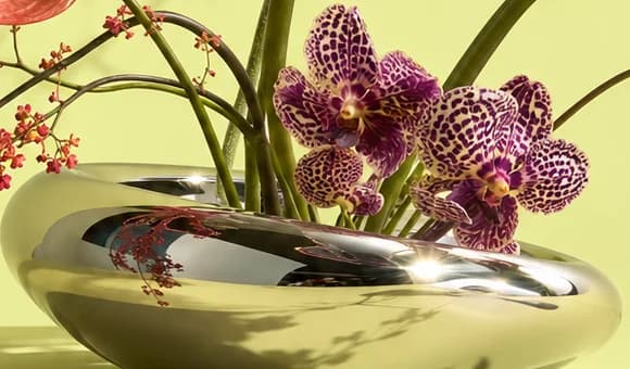 Close-up of a low mirrored chrome bowl holding spotted purple orchids and stems, on a chartreuse table