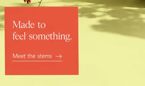 Coral card reading 'Made to feel something.' with an underlined 'Meet the stems' link, beside red flower sprays